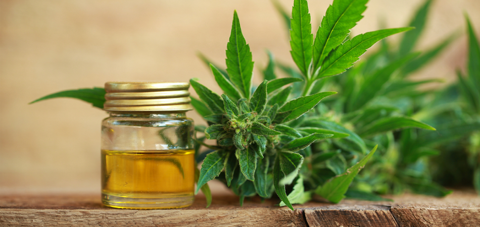 Que fabrique-t-on à partir du CBD ?